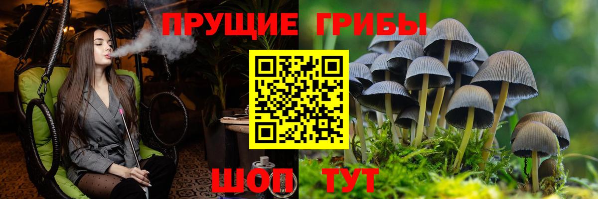 Псилоцибиновые грибы мицелий  Вход с VPN  Наро-Фоминск 